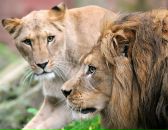 Фотография Якушевой Татьяны