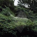 Фотография Ивлевой Анны