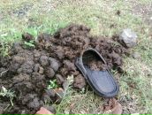 Николай Лещенко фотография #10 (источник - https://vk.com/id248869)