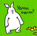 Фотография Тарасова Андрея