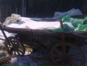 Сергій Кубай фотография #27 (источник - https://vk.com/id36095091)