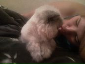 Фотография Кривогуз Надежды