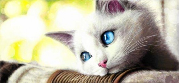 №18, Татьяна Шебулдаева, Минск №18, Татьяна Шебулдаева, Минск