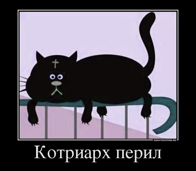 Вася Васин фотография #9