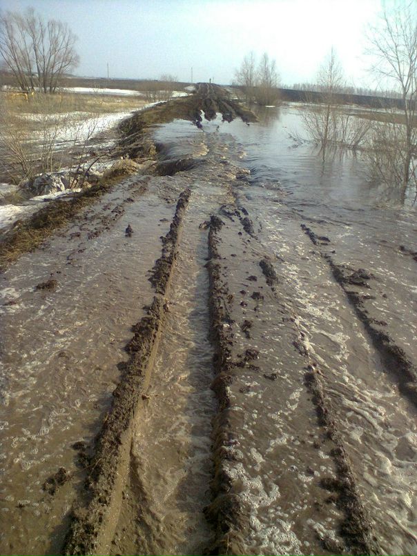 Дмитрий Крылов фотография #28