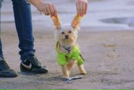 Фотография Корелиной Ольги