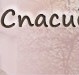 Санчо Філь фотография #11 (источник - https://vk.com/id156222397)