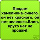Вікіца Ангел фотография #11 (источник - https://vk.com/id86821418)