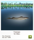 Иван Бабинец фотография #36 (источник - https://vk.com/id120069385)
