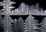 Антон Филь фотография #4 (источник - https://vk.com/id1657549)