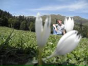 Фотография Большакова Василия