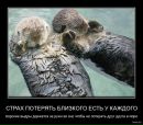 Юля Гаврікова фотография #11 (источник - https://vk.com/id31205043)