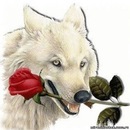 Фотография Wolf Wolfhound