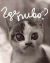 Олексій Сайненко фотография #35 (источник - https://vk.com/id120942362)