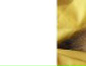 Яна Excale фотография #2 (источник - https://vk.com/id727315)