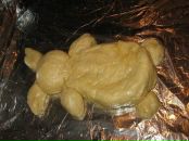 Фотография Самуковой Ленки