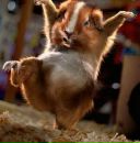 Фотография Кареповой Елены