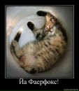 Фотография Логинова Игоря