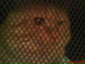 Фотография Серас Инны