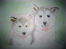 ღ Li♥ya фотография #2 (источник - https://vk.com/id146077549)