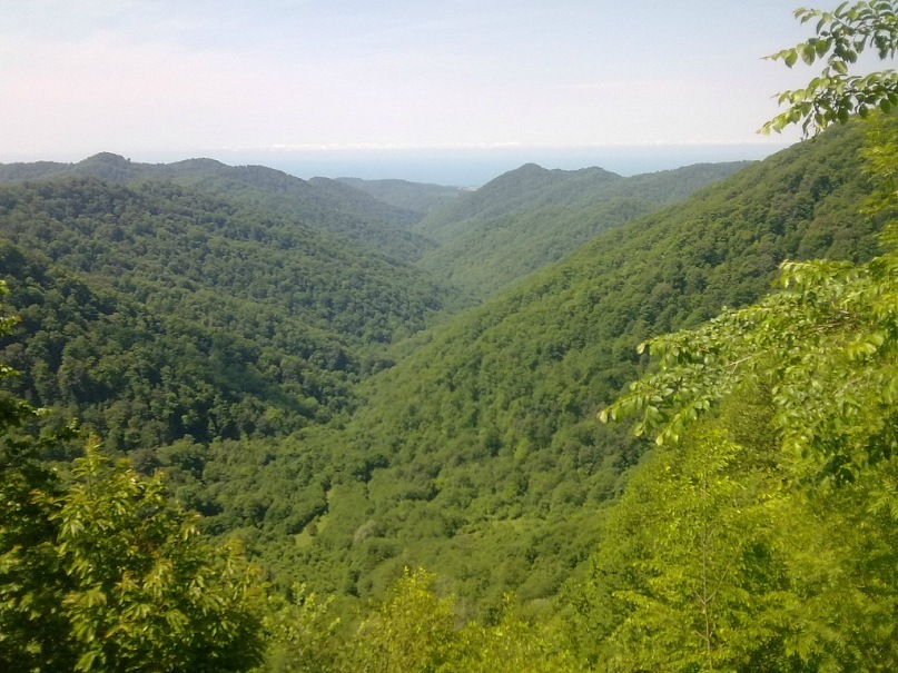 Дмитрий Туркевич фотография #19