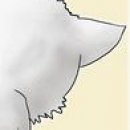 Іванна Мороз фотография #48 (источник - https://vk.com/id136564306)