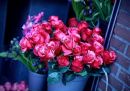 Фотография Богдановой Ирины