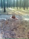 Фотография Филонович Светланы