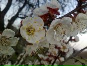 Віка Задера фотография #23 (источник - https://vk.com/id54622537)