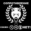 Κонстантин Κузьмин фотография #24 (источник - https://vk.com/id166027155)