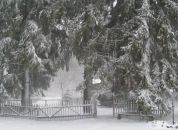 Фотография Игоревича Михаила