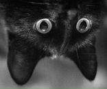 Фотография Хрустовской Екатерины