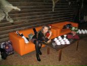 Фотография  