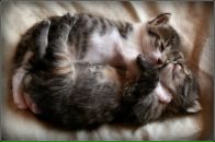 Фотография Александровича Олега