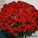 Іра Даданенко фотография #9 (источник - https://vk.com/id136149405)