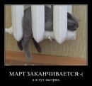 Наталія Дмитришин фотография #7 (источник - https://vk.com/id66104540)