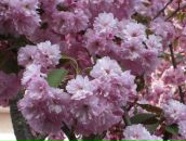 Фотография Люткевич Ольги