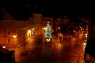 Ксения Василенко фотография #22 (источник - https://vk.com/id847167)