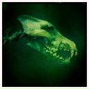 Фотография Бардадим Сергей-Жора