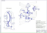 Фотография Новикова Марина