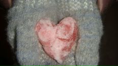 Фотография Криволаповой Маргариты