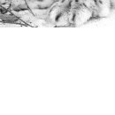 Ігор Шутурма фотография #20 (источник - https://vk.com/id122805674)