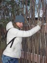 Фотография Анисимовой Светланы