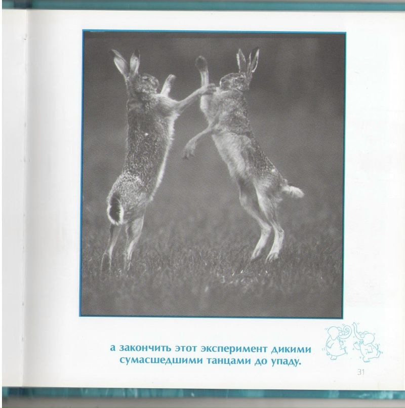 Роман Сербененко фотография #30