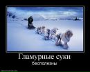 Фотография Юрманова Максима