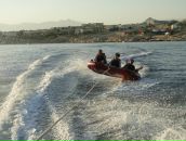 Фотография Фомича Дмитрия