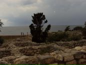 Марія Семенець фотография #47 (источник - https://vk.com/id21551093)