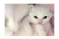 Фотография Доминовой Наташи