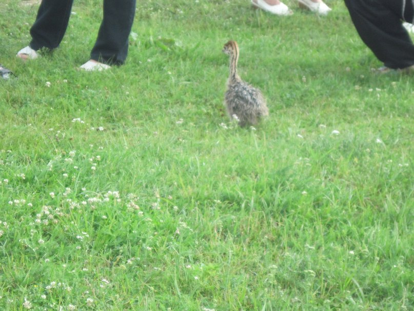 Наталья Гринёва фотография #45