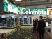 Olga Tkacheva фотография #14 (источник - https://vk.com/id16580152)